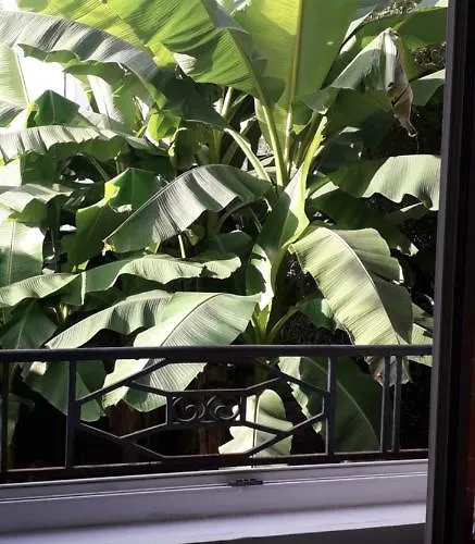 ベッド・アンド・ブレックファスト Cote Jardin ペリグー